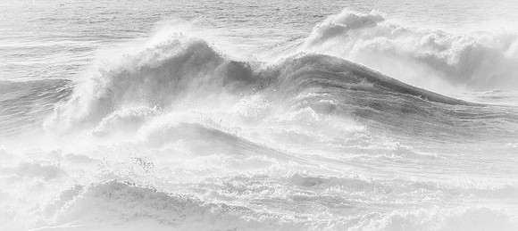 La Jolla Cove 01/09/19