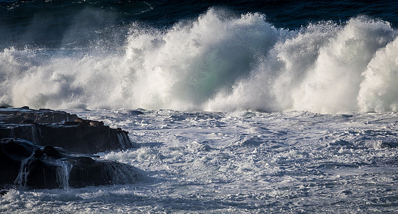 La Jolla Cove 01/09/19