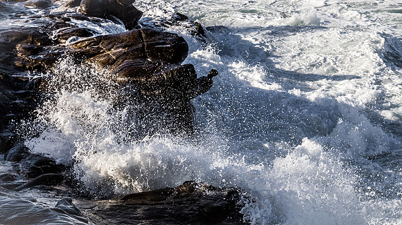 La Jolla Cove 01/09/19