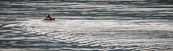 Glacier Bay
