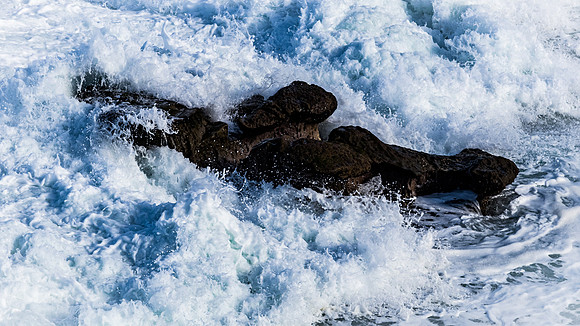 La Jolla Cove 01/09/19