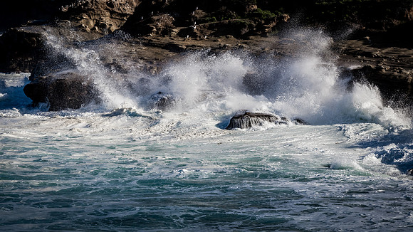 La Jolla Cove 01/09/19