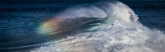La Jolla Cove 01/09/19
