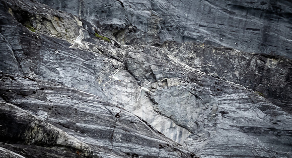 Glacier Bay