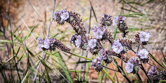 Mission Trails Regional Park 03/18/22