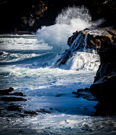 La Jolla Cove 01/09/19