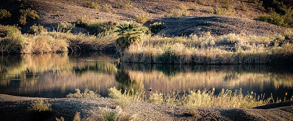 Colorado River, Yuma 04/2021