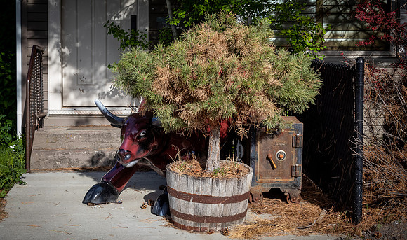 Logan 06/2022