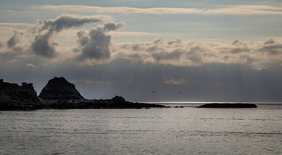 Coast Route 07/2019