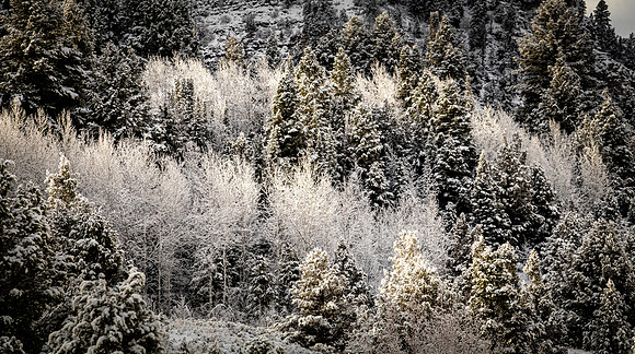Logan, UT 11/2024
