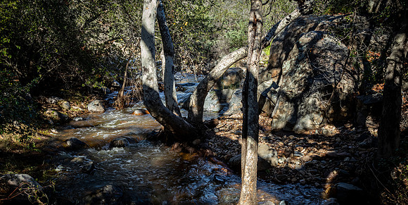 Mission Trails Regional Park 01/18/23