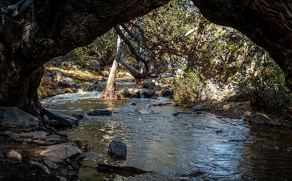 Mission Trails Regional Park 01/18/23