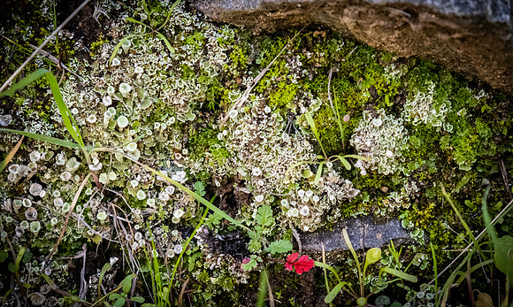 Mission Trails Regional Park 01/18/23