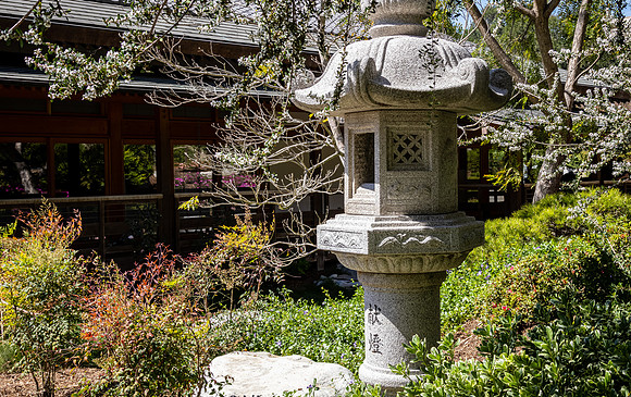 Japanese Friendship Garden 03/25/22