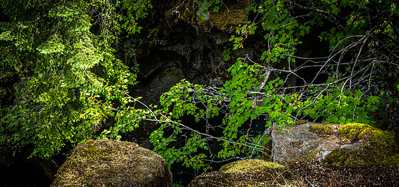 Rogue River Gorge 07/2019