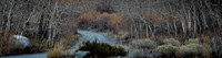 East Sierra 10/2025