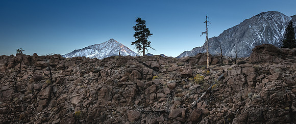 East Sierra 10/2025