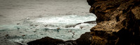 Point Lobos