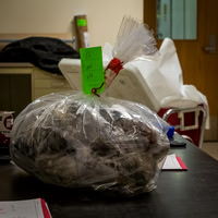 NFWS Forensic  Laboratory 07/08/19