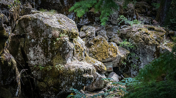 Rogue River Gorge 07/2019