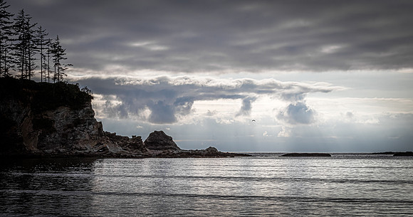 Coast Route 07/2019