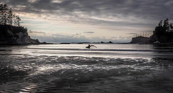 Coast Route 07/2019