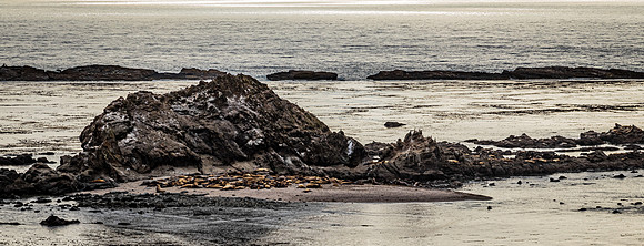 Coast Route 07/2019