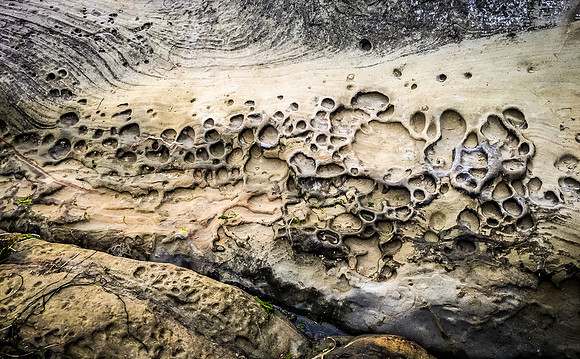 Coast Route 07/2019