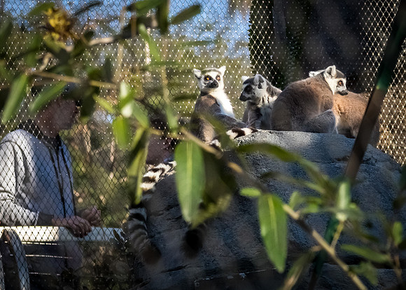 San Diego Zoo 12/27/19