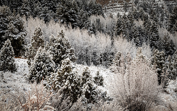Logan, UT 11/2024