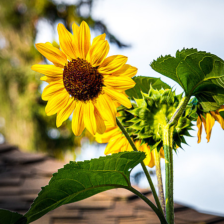 Ashland 07/2019