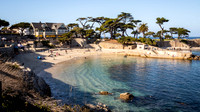 Pacific Grove - Central Coast 01/2025