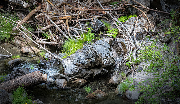 Rogue River Gorge 07/2019
