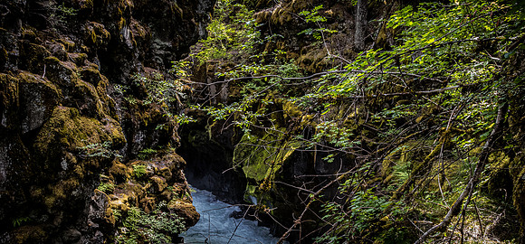 Rogue River Gorge 07/2019