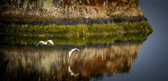 Smith River - Brookings 07/2019