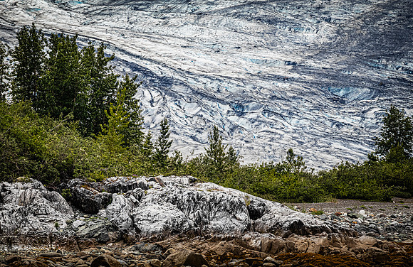 Glacier Bay