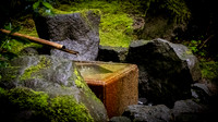Oregon - Portland Japanese Garden 05/24/21