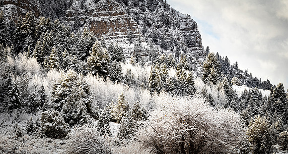 Logan, UT 11/2024