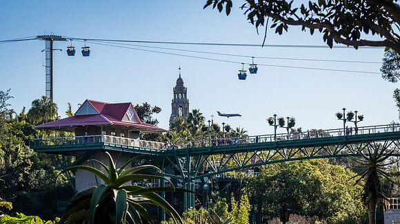 San Diego Zoo 12/27/19