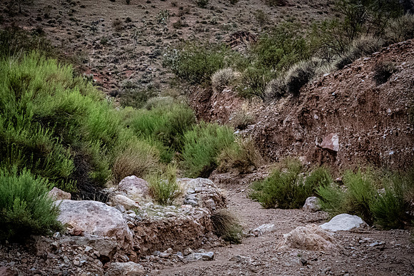 Virgin River, AZ 09/01/23