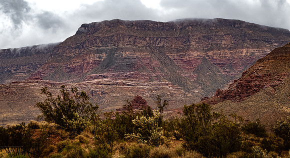 Virgin River, AZ 09/01/23
