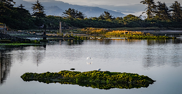 Smith River - Brookings 07/2019