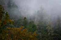 California - Coast 10/2011