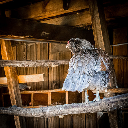 Beall House 07/2019