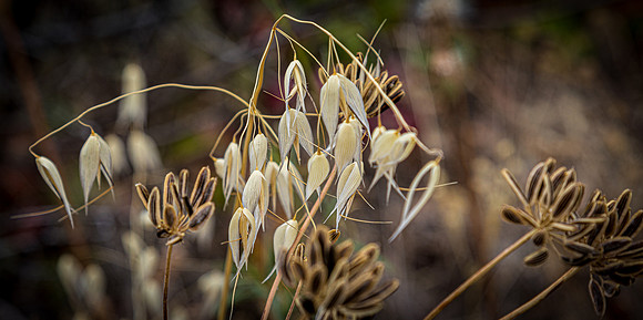 Upper Table Rock 07/2019