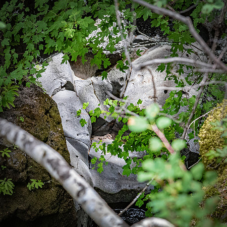 Rogue River Gorge 07/2019