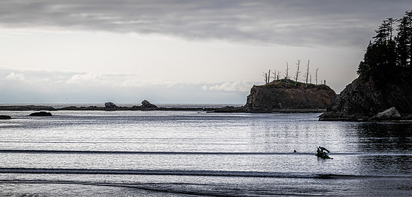 Coast Route 07/2019