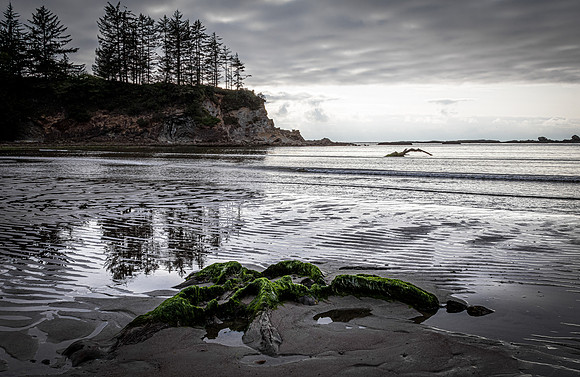 Coast Route 07/2019
