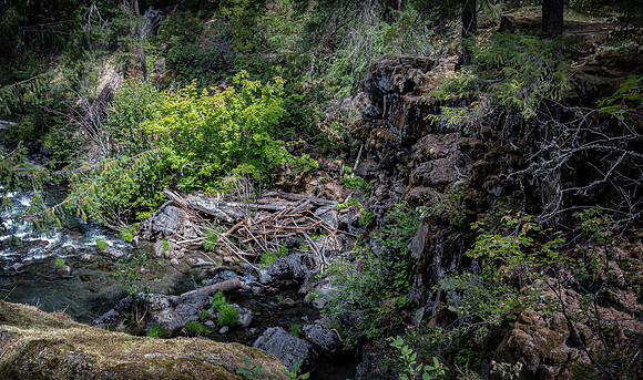 Rogue River Gorge 07/2019