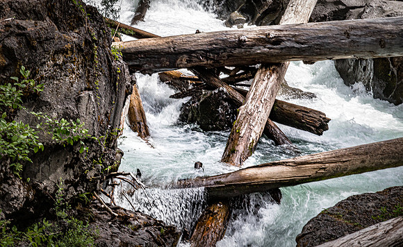 Rogue River Gorge 07/2019